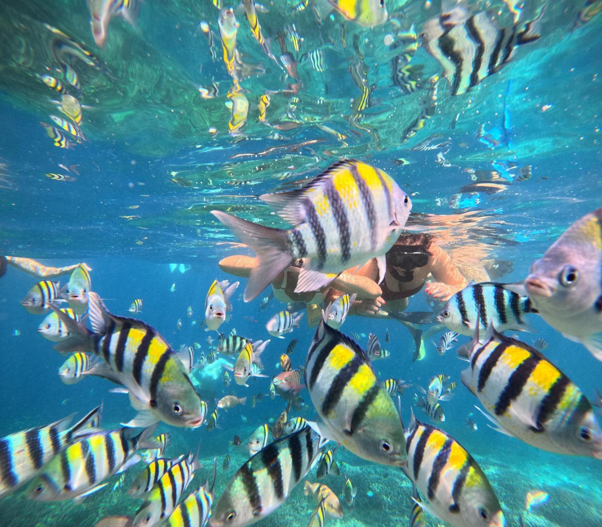 Unzipp Bungalows Gili Air Kültér fotó